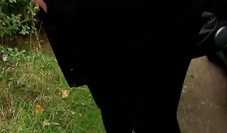 Cougar کلیپ سکسی کوتاه بالغ با SeXy TiTs لعنتی می شود